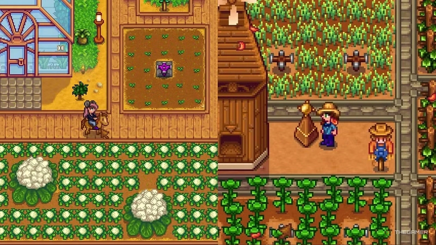 Stardew Valley: A Shared Daily Routine