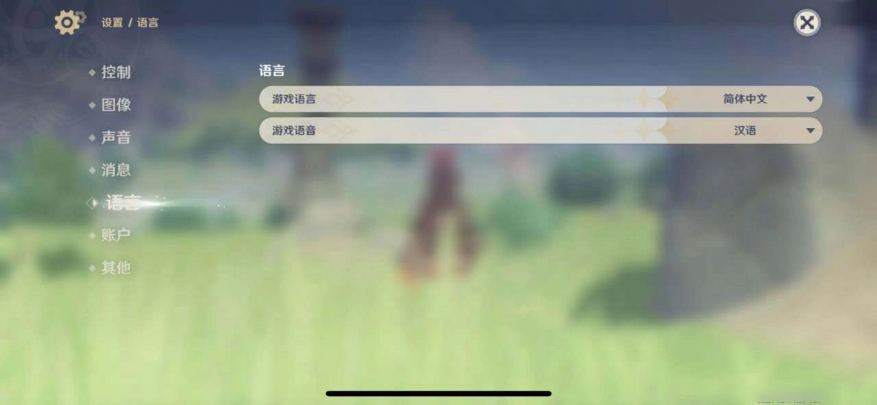 Change the Game Text Language